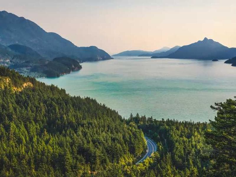 Un escritorio minimalista blanco con una laptop y una planta.