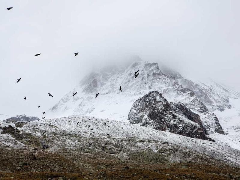 Una mesa de comedor de roble con sillas a juego en un comedor luminoso.
